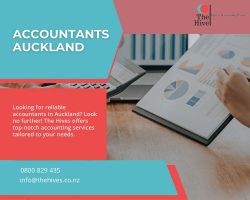 Accountants Auckland – Your Trusted Financial Partners