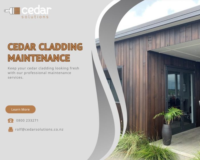 We provide the best Cedar cladding maintenance Auckland