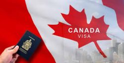 Trusted consultants for Canada visit visa from Qatar