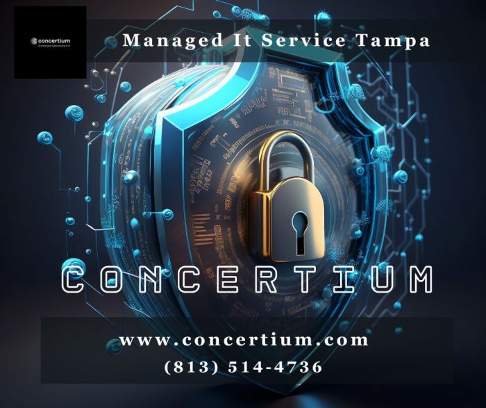 Tampa’s Leading Managed IT Services