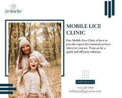 Convenient and Professional Mobile Head Lice Clinic