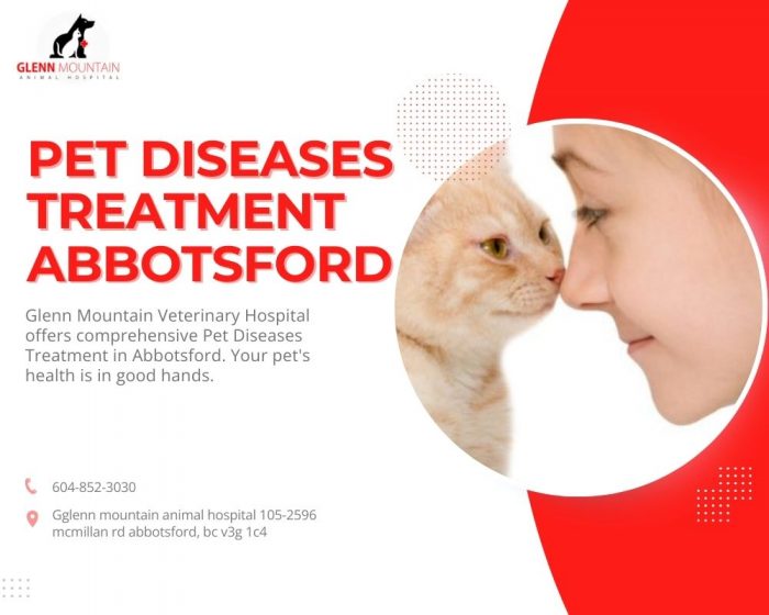 Effective Pet Diseases Treatment Abbotsford by a qualified veterinarian