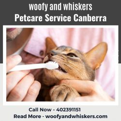 Petcare Service in Canberra