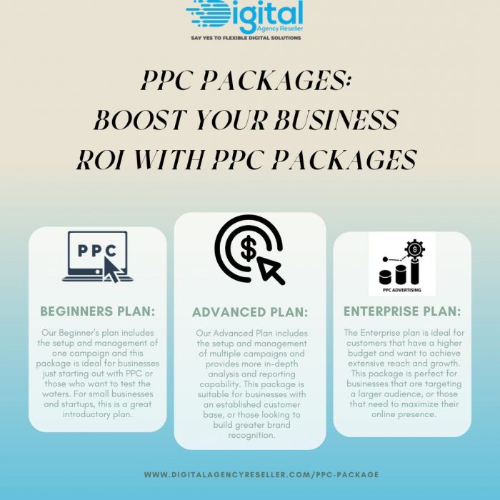 Boost Your Business ROI with PPC Packages