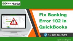 How to Fix QuickBooks Banking Error 102