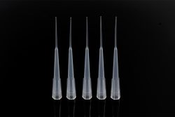 Introduction to a Pipette Tips Factory