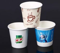 Unveiling The Manufacturing Process of OEM Single Wall Paper Cups