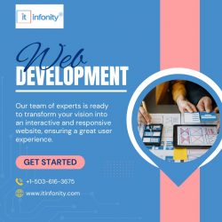 IT Infonity: Premier Web Development Company for Innovative Solutions
