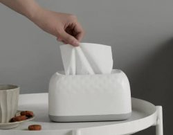 white PP plastic tissue box