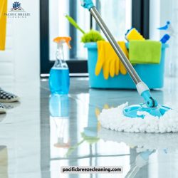 Budget-Friendly Cleaners: House Cleaning in South Surrey