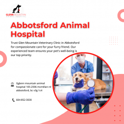 Our staff are trained at Abbotsford Animal Hospital