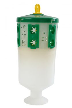 Bucket Insect Trap: An Eco-Friendly Way to Catch Pests!