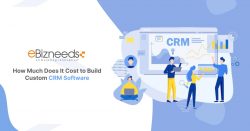 How Much Does It Cost to Build Custom CRM Software