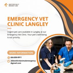 State-of-the-Art Emergency Vet Clinic in Langley