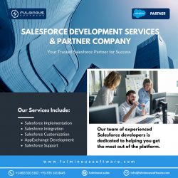 Top Salesforce Consulting Services by Fulminous Software