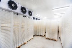 50-Degree Storage Space