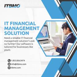 Unlock Efficiency with IT Financial Management Solutions
