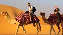 Abu dhabi desert safari tours