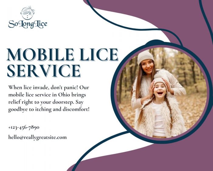 Professional Mobile Lice Removal Service