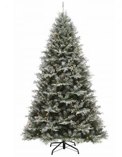 Bring the Magic of the Season Home with a Spruce Christmas Tree