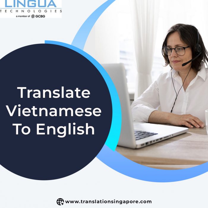 Precision in English to Vietnamese Translation