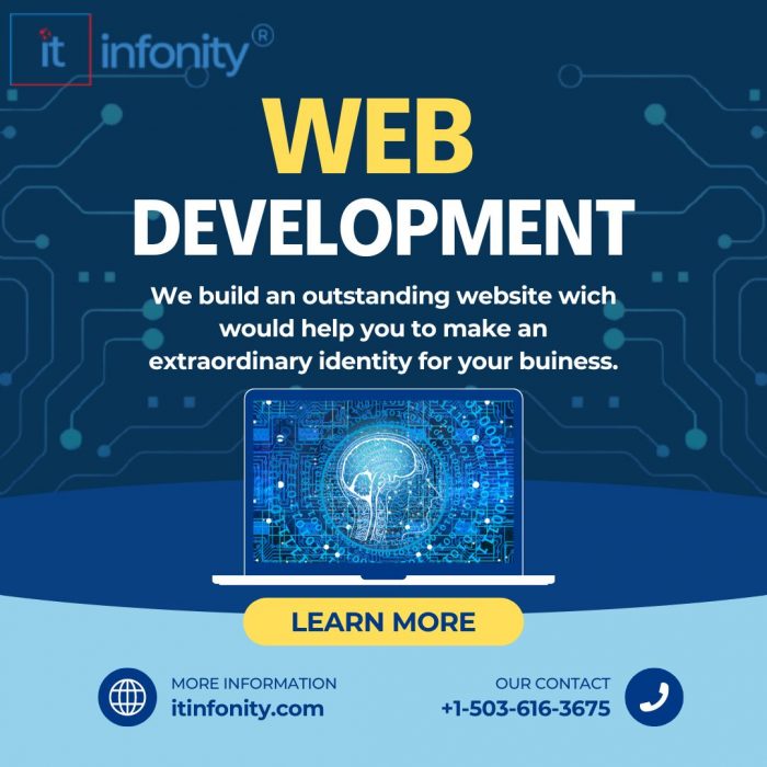 Unlock Your Online Potential with Top-Tier Web Development Services | IT Infonity