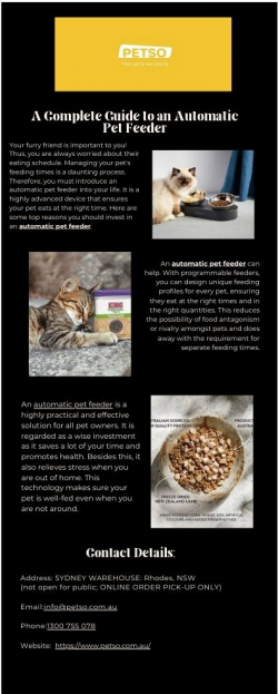 A Complete Guide to an Automatic Pet Feeder