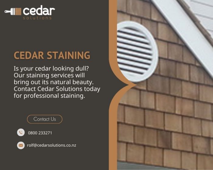 Are you looking for the best Cedar staining in Auckland?