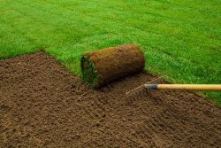 Expert Turf Laying Services for Your Landscape
