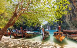 Beyond the Beach: Dive Into Thrills and Tranquility In Krabi