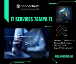 Comprehensive IT Services in Tampa, FL – Full Spectrum