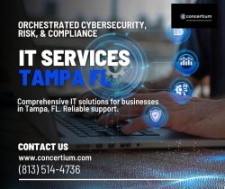 Professional IT Solutions in Tampa, FL