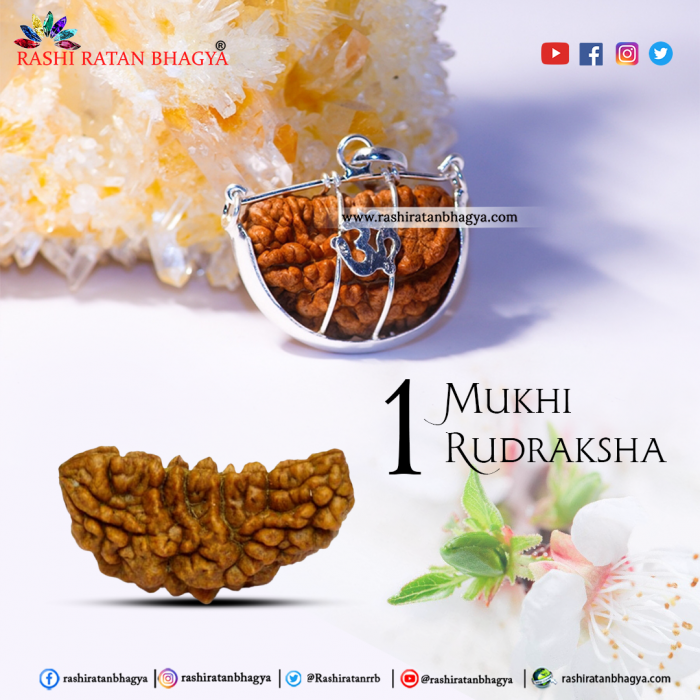 Original 1 Mukhi Rudraksha Online Best Price in India.