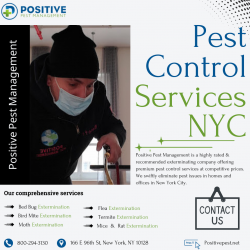 Reliable Pest Control in New York