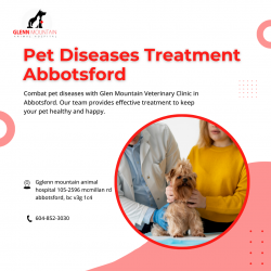 Effective Pet Diseases Treatment Abbotsford by a qualified veterinarian