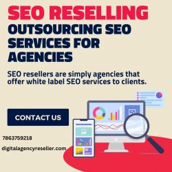 SEO Reselling Services