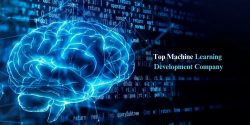 Top Machine Learning Development Company | Xonique