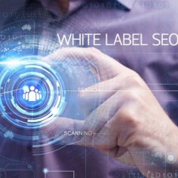 White Label SEO for Agencies and Resellers