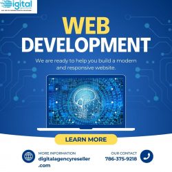Custom Web Development Services Agency
