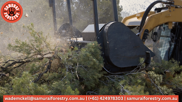 Wondering About Land Clearing in Otford?