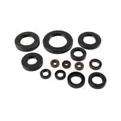China Rubber Oil Seals: The Pinnacle of Sealing Technology