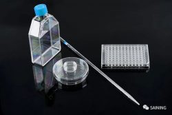 PCR Plate Manufacturers for Your Laboratory Needs