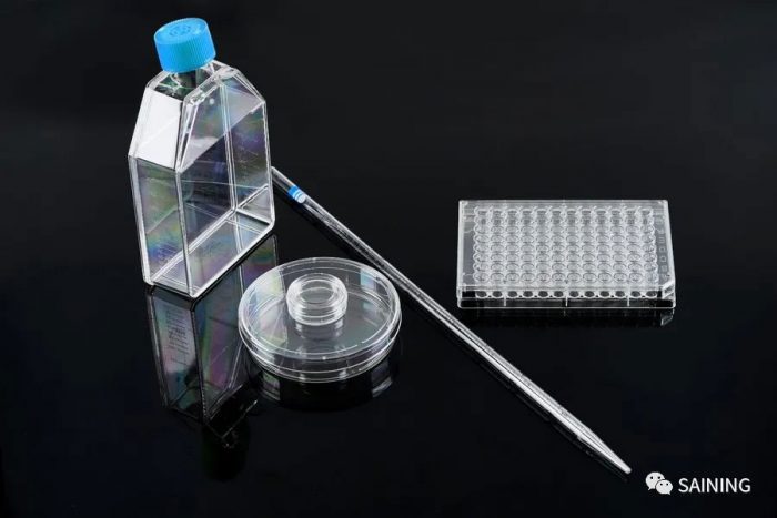PCR Plate Manufacturers for Your Laboratory Needs