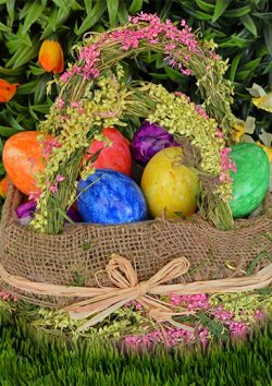 Get Ready for Easter with Custom Plastic Easter Eggs!