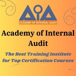 Academy of Internal Audit – The Best Training Institute For CIA