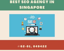 Best SEO Agency in Singapore