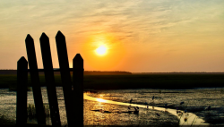 Best Sunrise Photos For Sale South Carolina