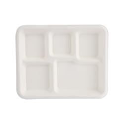 Biodegradable Bagasse Trays for a Healthier Earth and Home