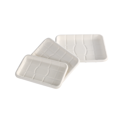 Durable, Reusable Bagasse Trays for Your Family’s Health and the Planet