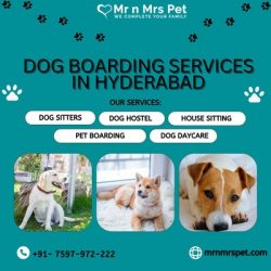 The Best Dog Boarding Services in Hyderabad